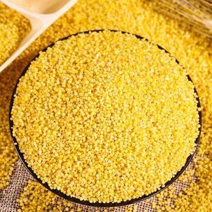 东北农家自产黄小米新米小米子宝宝米月子米煮粥五谷杂粮粗粮包邮