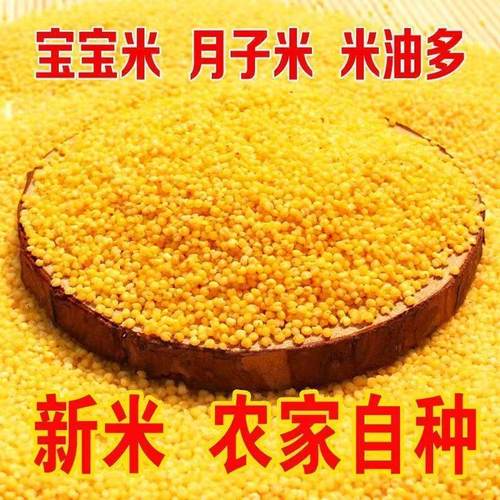 正宗黄小米5斤特价优质黄小米月子米小米粥五谷杂粮小米油多粒大