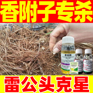 香附子专用除草剂香附子克星专用药雷公头三棱草除草剂农药正品