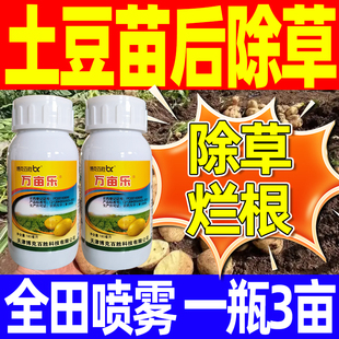 马铃薯土豆田苗后专用除草剂砜嘧磺隆精喹禾灵禾阔双除洋魔芋除草
