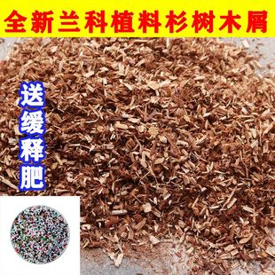 纯杉树木屑兰花专用土壤杉木屑植料兰花营养土翁源兰花杉树新石斛