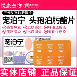 宠泊宁头孢泊肟酯片宠物狗狗猫咪呼吸道感染泌尿皮肤外伤感染消炎