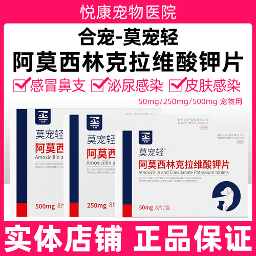 合宠莫宠轻阿莫西林克拉维酸钾片宠物猫咪狗狗消炎药感冒咳嗽感染