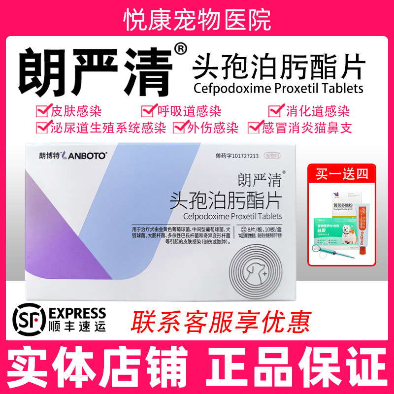 朗博特朗严清头孢泊肟酯狗狗猫咪