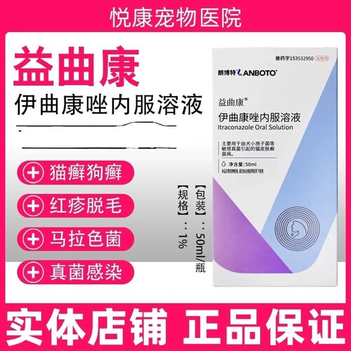 朗博特益曲康伊曲康唑内服溶液猫癣狗癣真菌感染马拉色菌皮屑瘙痒