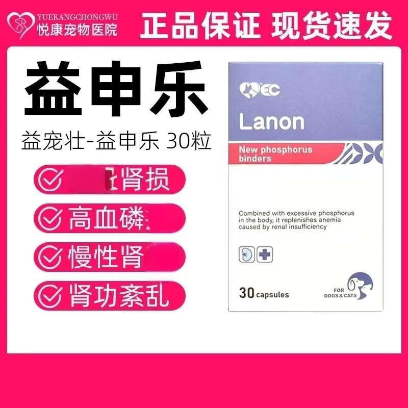 益宠壮益申乐宠物猫咪狗狗降磷呵护肾脏肾功能不全营养肾脏图片