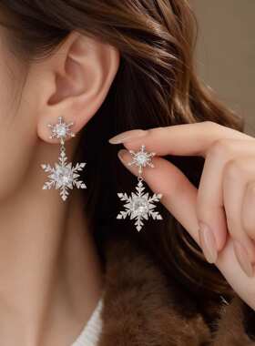官方正品精致银针锆石雪花耳钉小众优雅秋冬氛围百搭耳环轻奢高级