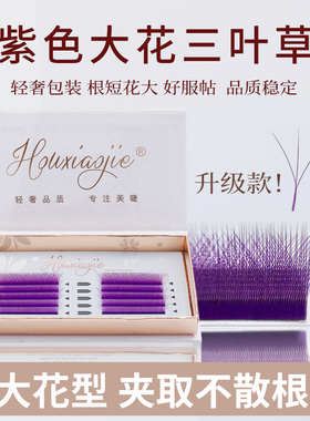紫色大花三叶草嫁接睫毛超软毛不散根0.05C翘彩色y型yy美睫店专用
