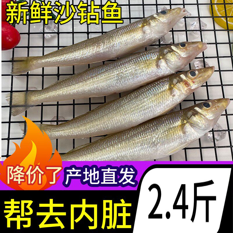 北海沙尖鱼去内脏海鲜免处理深海海捕新鲜海鱼沙丁鱼冷冻沙钻鱼
