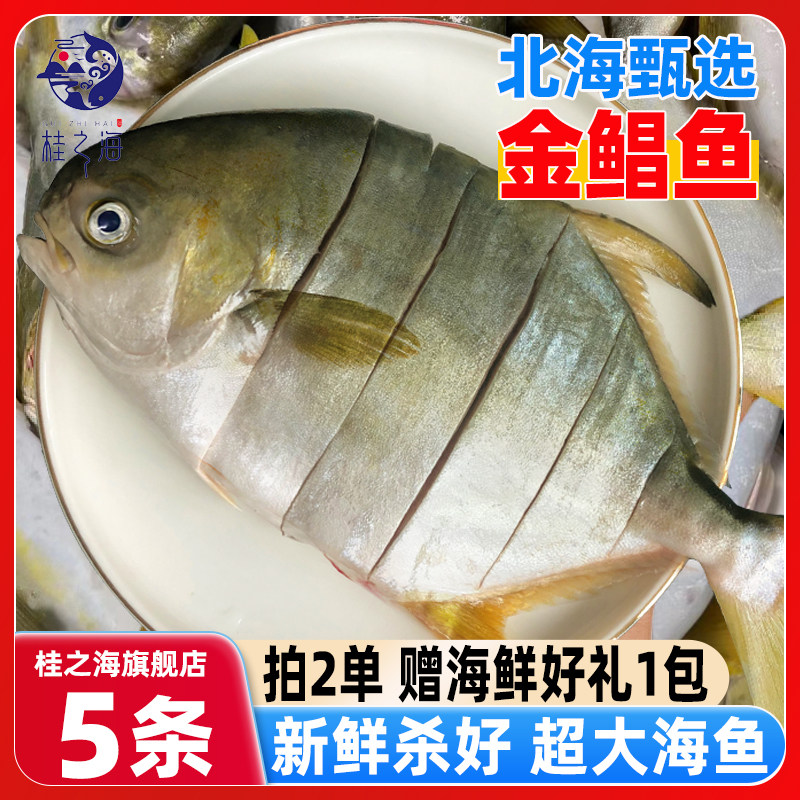 北海金鲳鱼新鲜杀好深海鱼鲜活去鳃去内脏冷冻冰鲜特大切花金昌鱼,水产肉类/新鲜蔬果/熟食,鲳鱼,淘宝优惠券,粉丝福利购,淘宝优惠卷