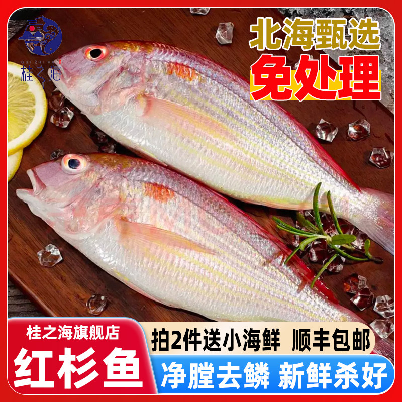 北海红杉鱼去鳞鳃去内脏深海鱼免处理新鲜冷冻红三鱼金线鱼金丝鱼