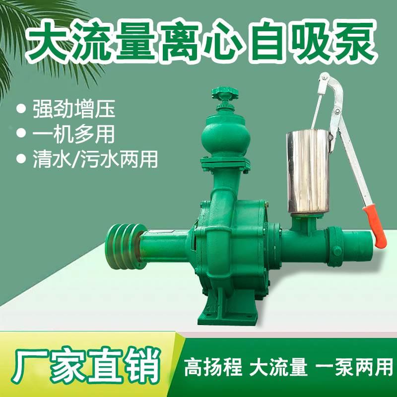 手压大喷离心自吸泵高扬程大流量离心泵抽水机果园农田灌溉喷枪