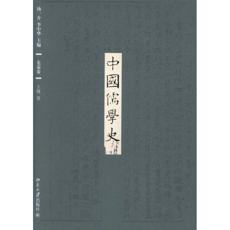 正版图书 中国儒学史(1-9卷） 汤一介 北京大学出版社 9787301105702