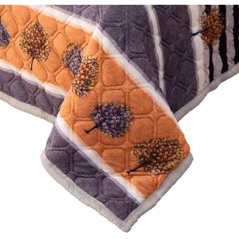 2023新款冬季加绒加厚法兰绒床盖牛奶珊瑚绒床单单件学生宿舍毯子