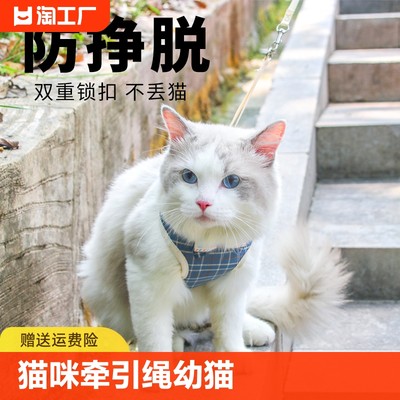 猫咪牵引绳幼猫遛猫绳小猫防挣脱猫链舒适材质背心式小型狗狗绳子