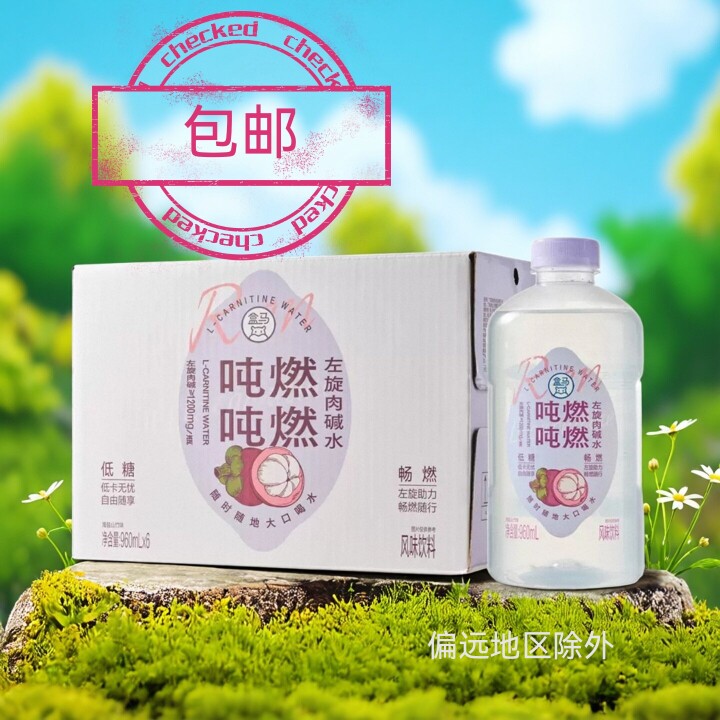 盒马吨吨燃燃左旋肉碱水低糖低卡0脂肪饮料健身电解质水960ml*6瓶