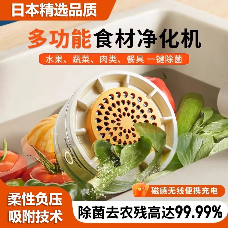 日本蔬菜水果清洗機食材凈化機多