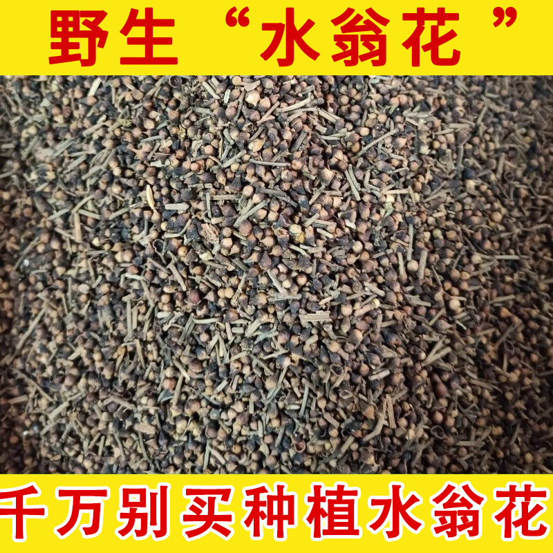 水翁花野生中药材 新货 水雍花 酒翁 新鲜干净泡茶500克包邮 野生