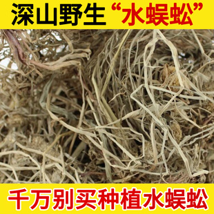 深山野生中药材水蜈蚣500g 水蜈蚣草 金钮草 寒气草 三荚草500克