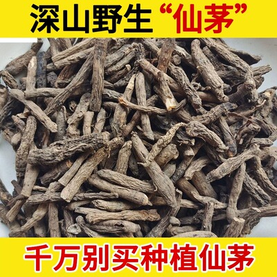 深山野生中药材仙茅500g 独脚仙矛 仙茅根 独茅根 地棕根