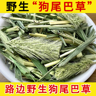 狗尾草中药材野生500g克 狗尾巴草 毛虫草 谷莠子九尾草中草药