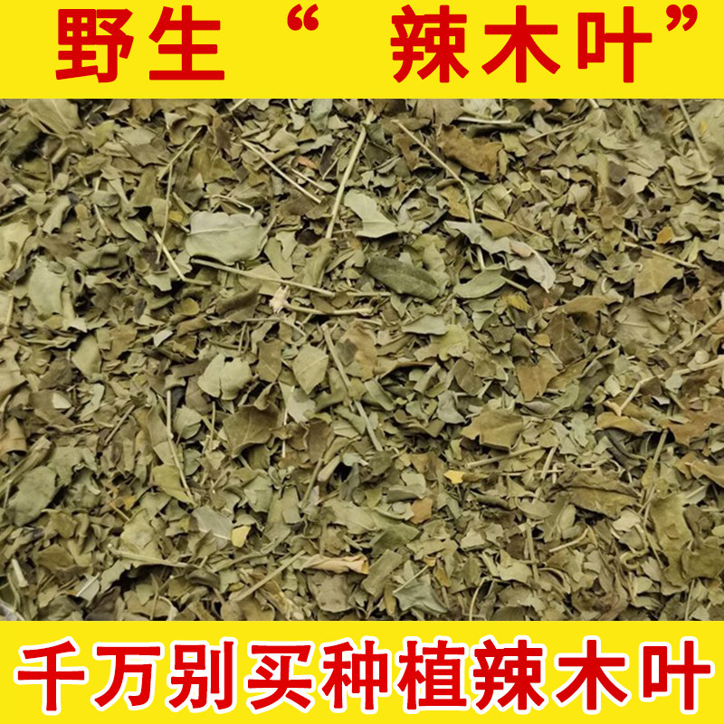 野生辣木籽叶 中药材 正品辣木籽叶茶 辣木叶 辣木茶 中草药