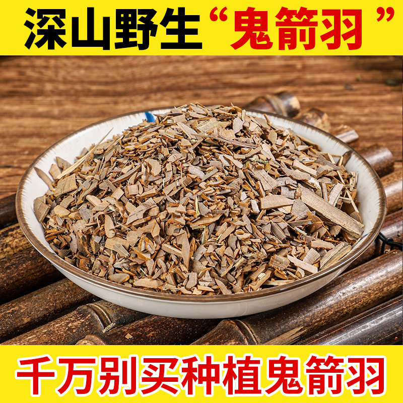 鬼箭羽野生中药材 野生鬼箭羽 鬼箭羽 鬼剑雨 正品新货纯野生