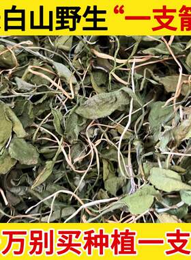 长白山野生一支箭中药材500g