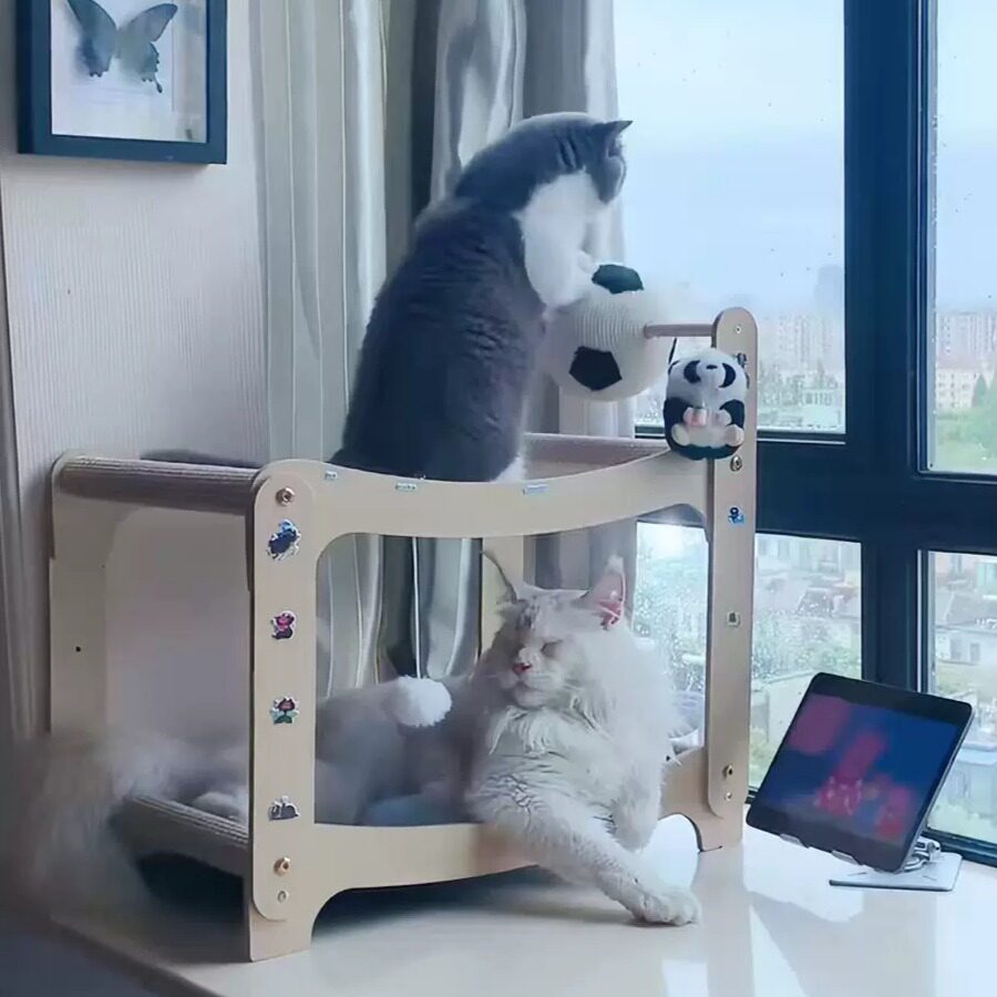 猫抓板猫窝猫床一体猫抓球耐抓不