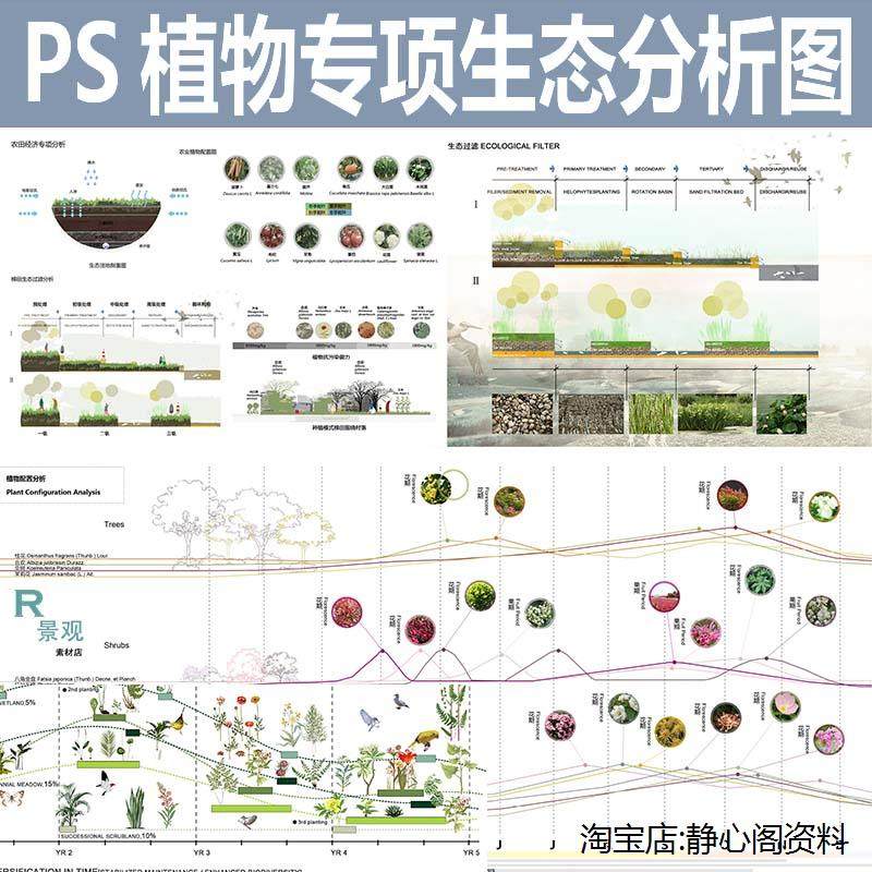 景观植物群落ps分析图专项设计psd分层素材海绵生态园林剖面