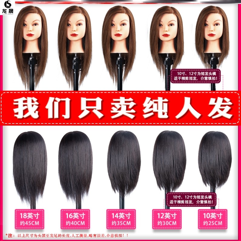 ����ģ��ģͷȾɫƯ���̼���ͷ ���˷� ��ϰģ�ͱ෢����ͷģ��Ⱦ