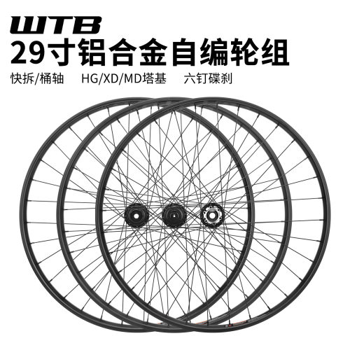 WTB山地自行车桶轴轮组29寸BOOST真空软尾车高强度轮毂林道AM/DH