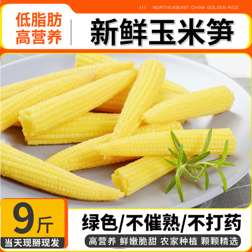 广西玉米笋新鲜小玉米芯现掰现发