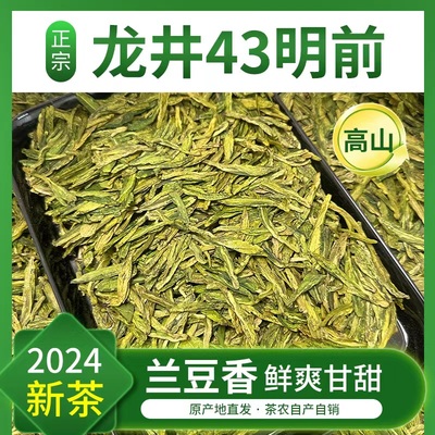 龙井43明前龙井口粮茶核心产区高山黄板兰豆香半斤装2024新茶