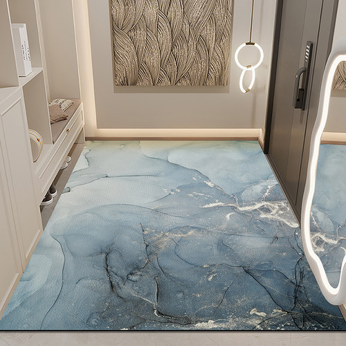 轻奢高级感入户门地垫玄关进门地毯免洗门口脚垫免洗可裁剪门垫