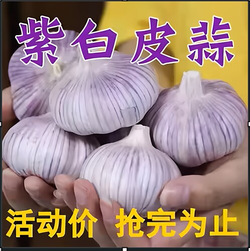 河南农家紫白皮干蒜大个头包邮