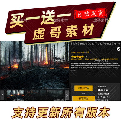 UE5 虚幻5资源包 燃烧的森林 MW Burned Dead Trees Forest Biome