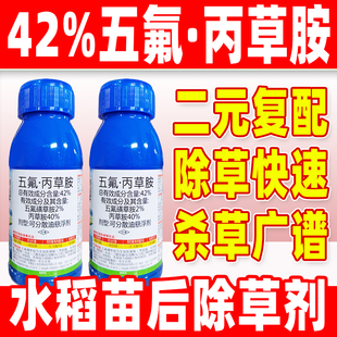 豪闲42%五氟丙草胺正品水稻田苗后专用除草剂五氟磺草胺水稻除草