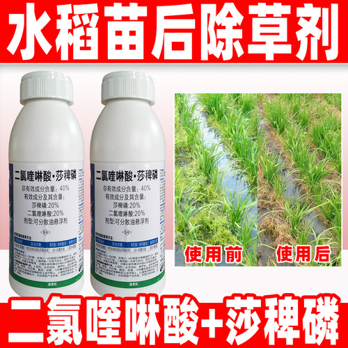 二氯喹啉酸莎稗磷水稻除草剂