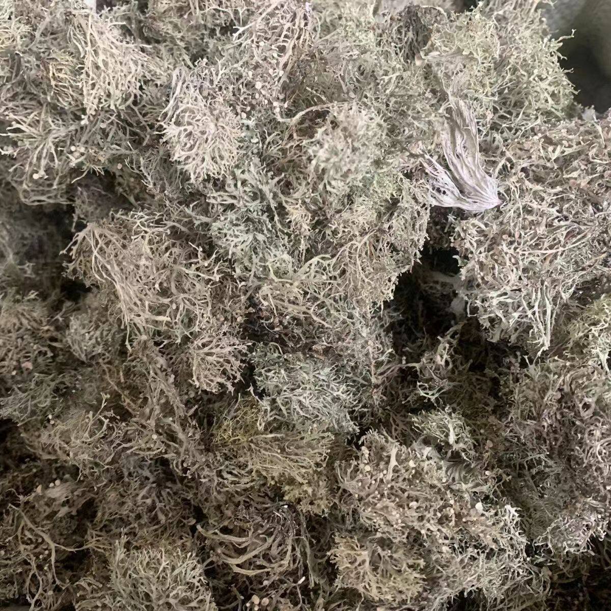 树花菜天然干货云南特产干树花菜树胡子龙须菜山珍树毛菜