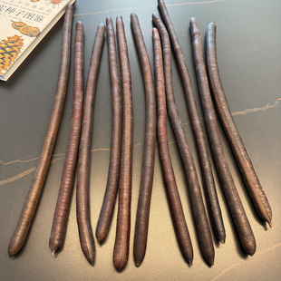 正品腊肠果云南真植物果实装饰软装家居摆件天然植物便秘果大解果