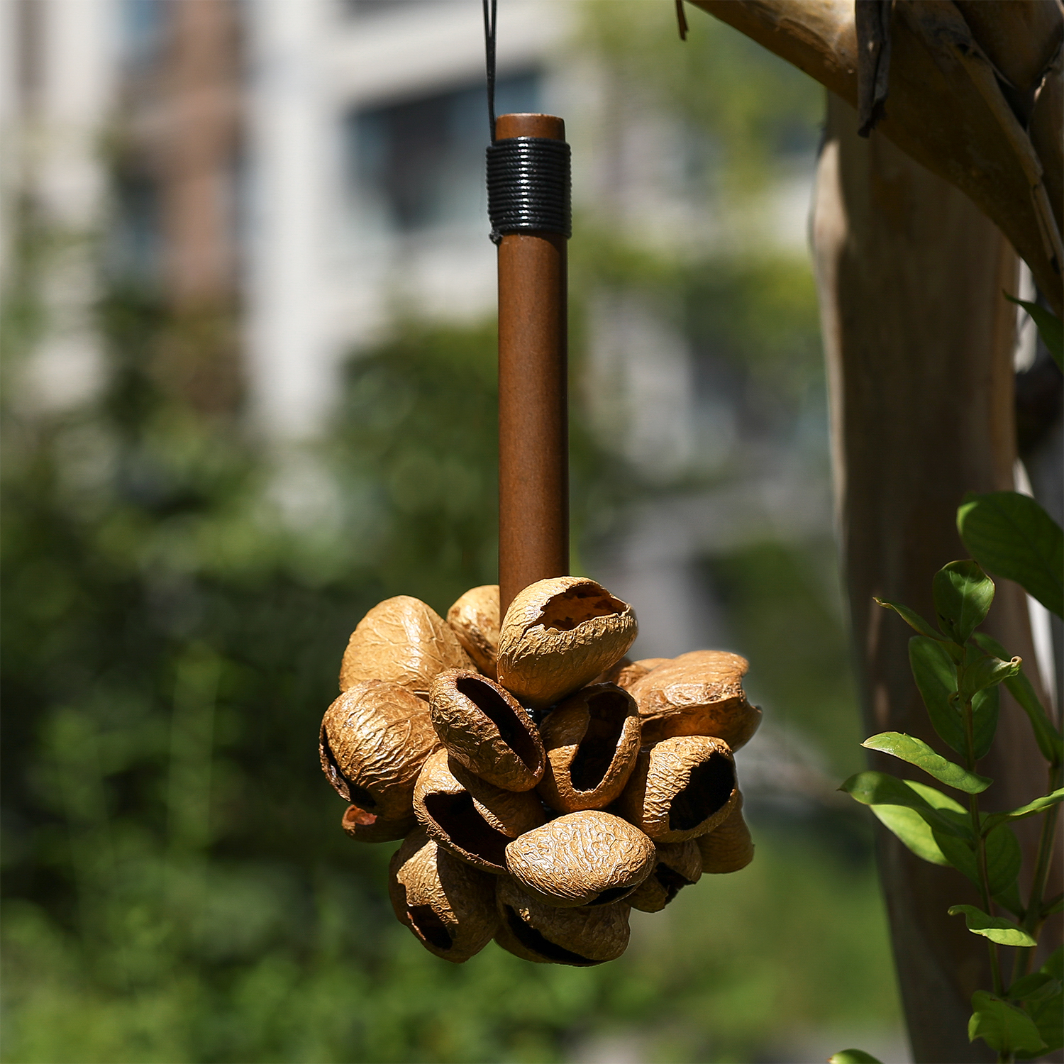 印尼Panji黑果木柄摇铃音疗治愈