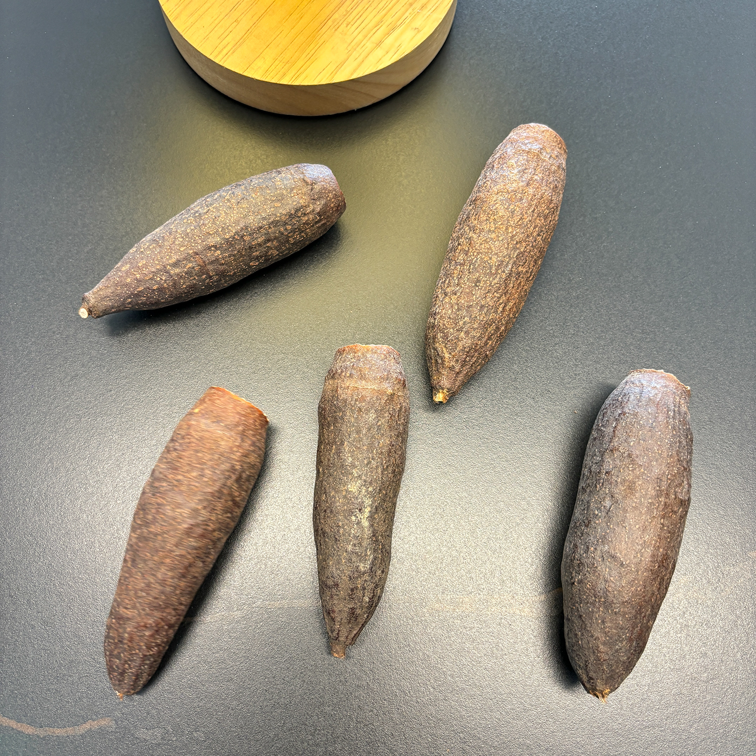 植物家居软装插花装饰南美缸造景