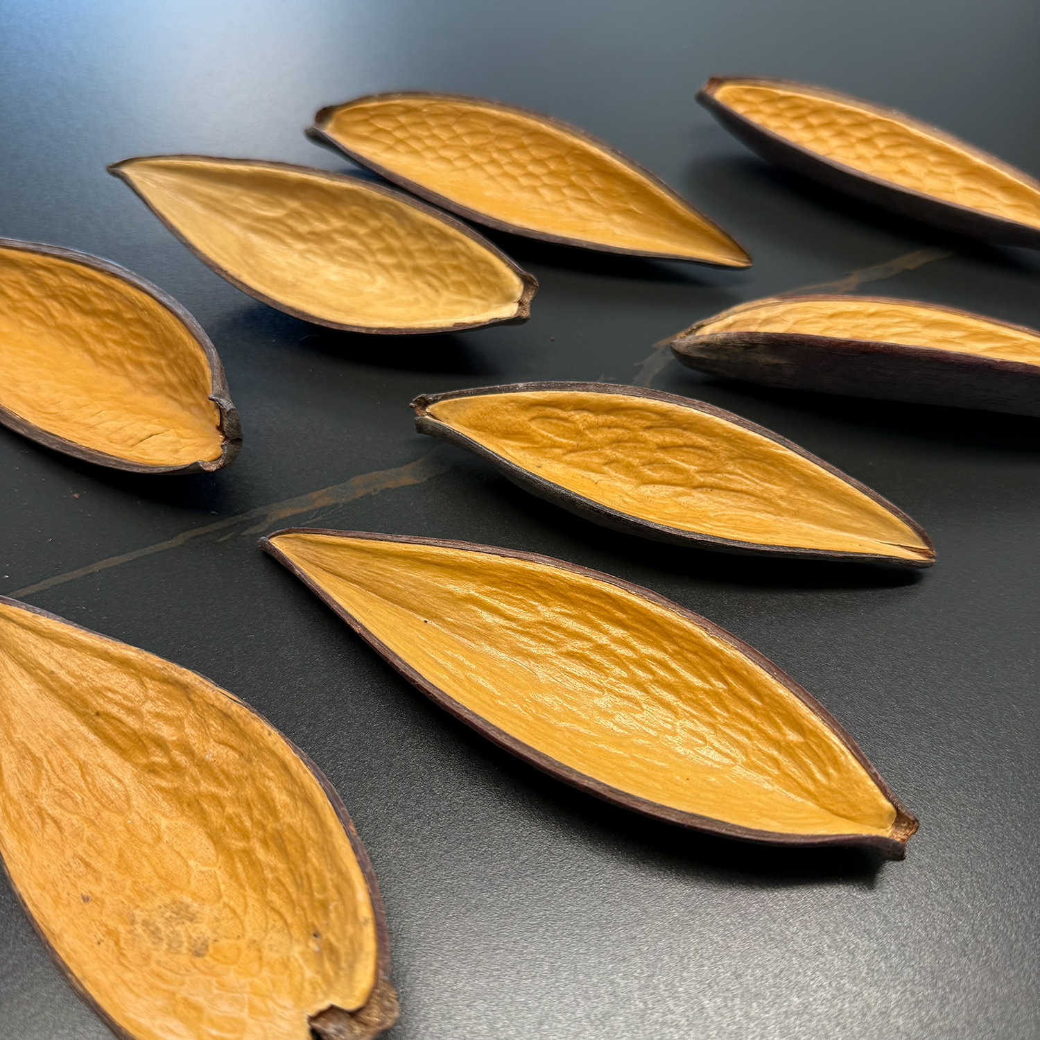 双面金壳巴西进口果壳手工