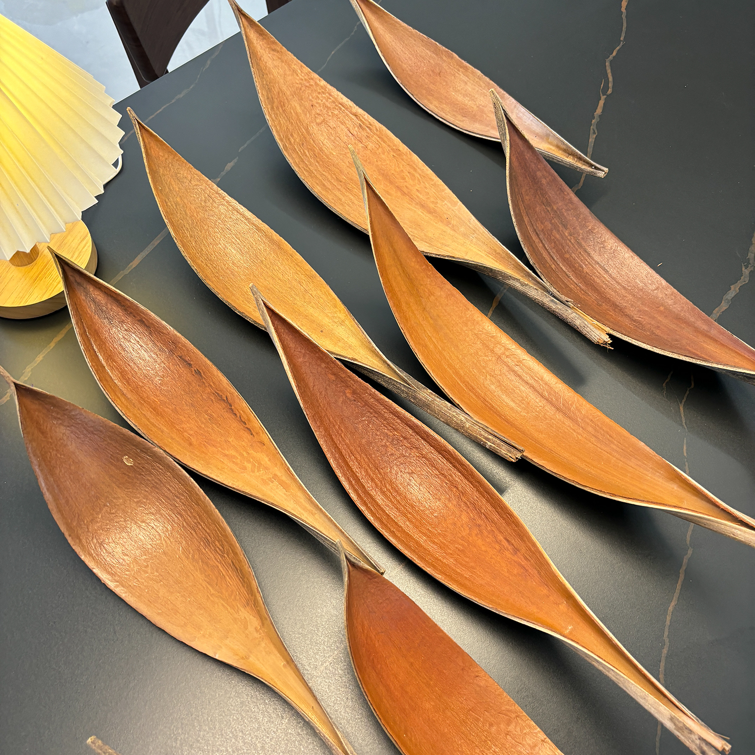 进口可可叶干花托盘桌面摆件道具