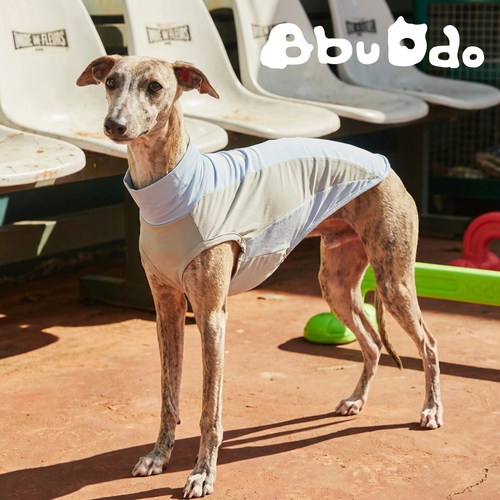 夏季轻氧速干防晒凉凉衣宠物衣服小灵缇惠比特中小型犬高弹透气