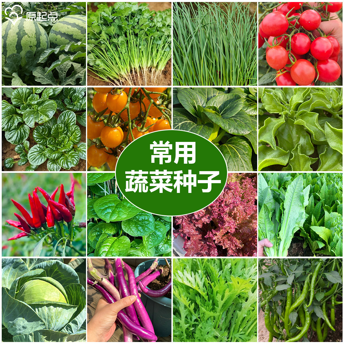 原起点蔬菜种子四季家用常见蔬菜籽盆栽蔬菜阳台庭院园艺种植种子,鲜花速递/花卉仿真/绿植园艺,家庭园艺种子,淘宝优惠券,粉丝福利购,淘宝优惠卷