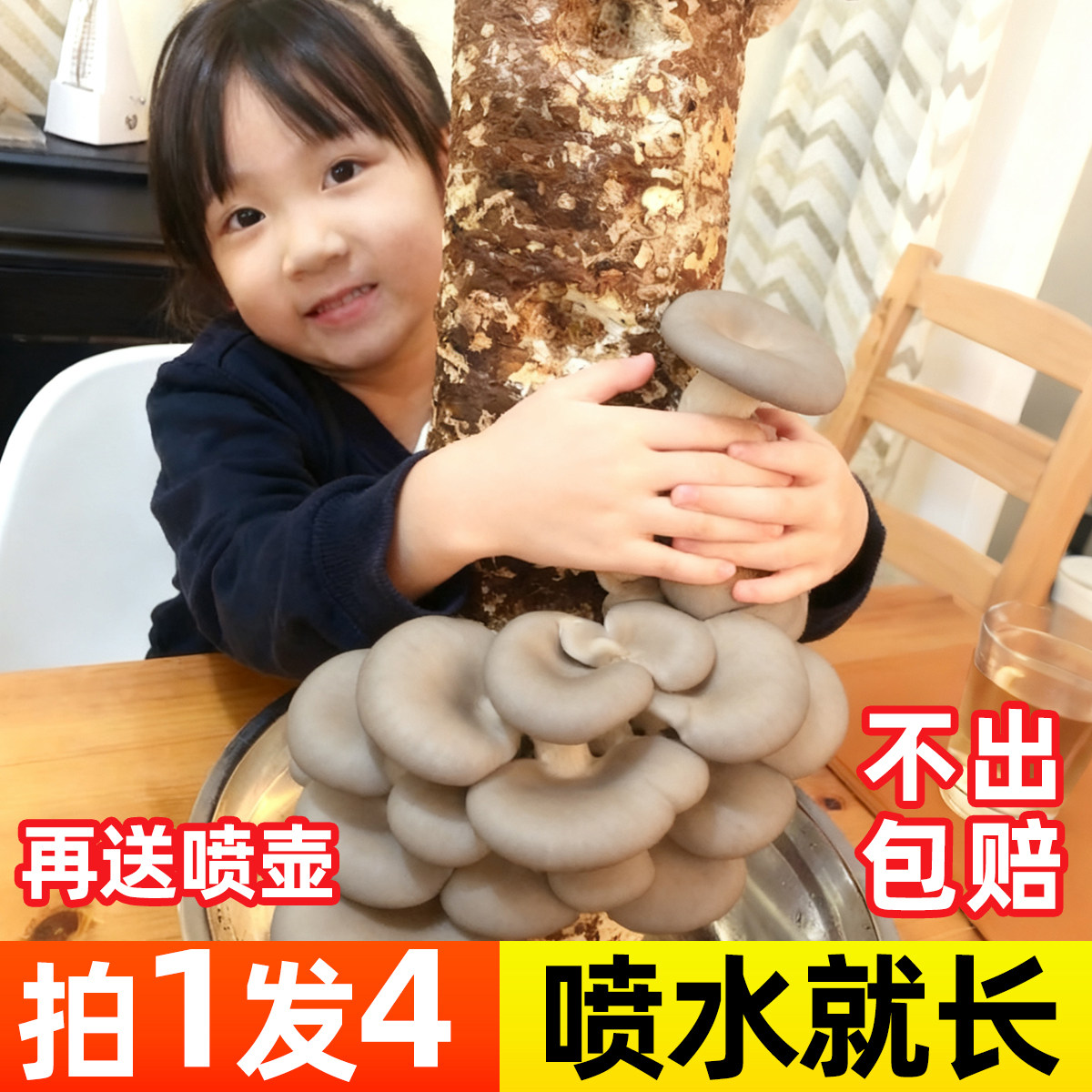 蘑菇种植包家庭种植蘑菇菌包儿童种蘑菇趣味盆栽可食用黑平菇菌包,鲜花速递/花卉仿真/绿植园艺,多肉植物,淘宝优惠券,粉丝福利购,淘宝优惠卷