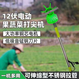 打尖器电动辣椒菊花葡萄打头机果树豆角打头器甜瓜打尖机打顶神器