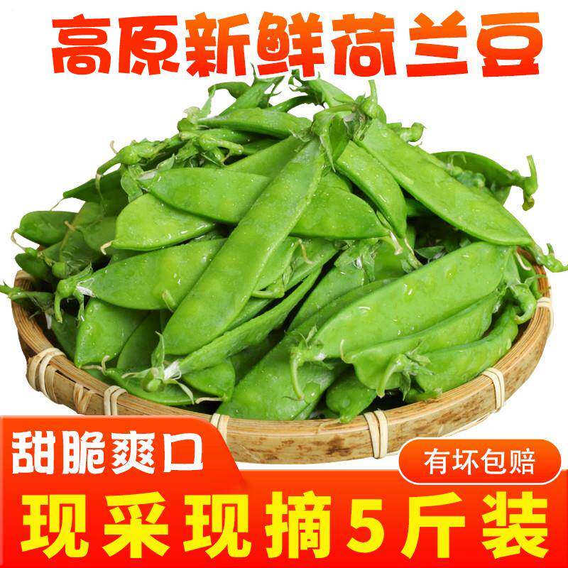蹊蹊的小菜园新鲜荷兰豆5斤云南甜豌豆荚当季蔬菜券后9.54元